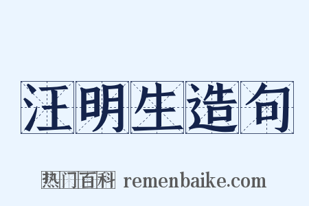 汪明生造句是什么意思的图片